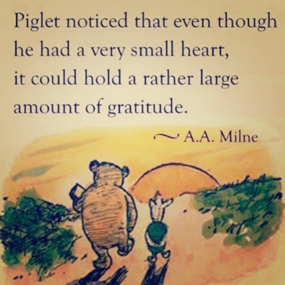 🥾Kamik Snowvixen NPLC 38/39 Leather Fleece lined - Picture 8 of 16